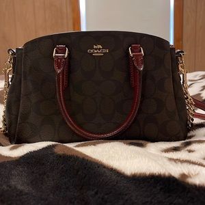 Pre-Loved Coach Mini Sage Carryall Bag in Signature Canvas